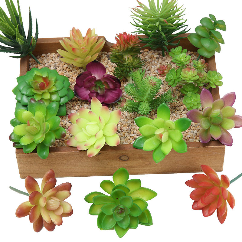 2021 Artificial Succulents Pla - مراجعة Victory Home Decor وسعره