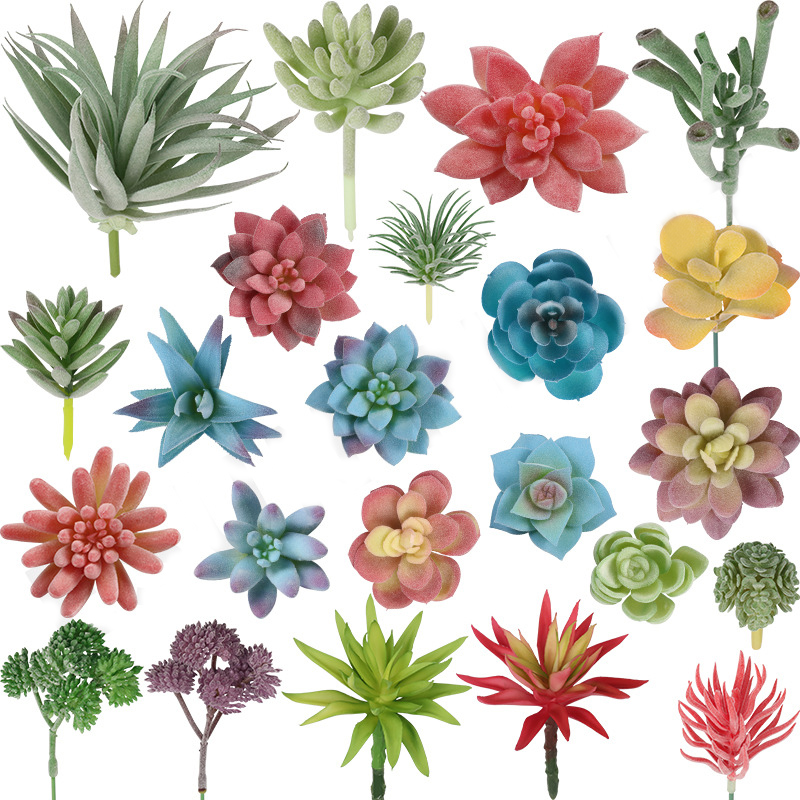DIY Simulated Succulent Plants - مراجعة Victory Home Decor وسعره