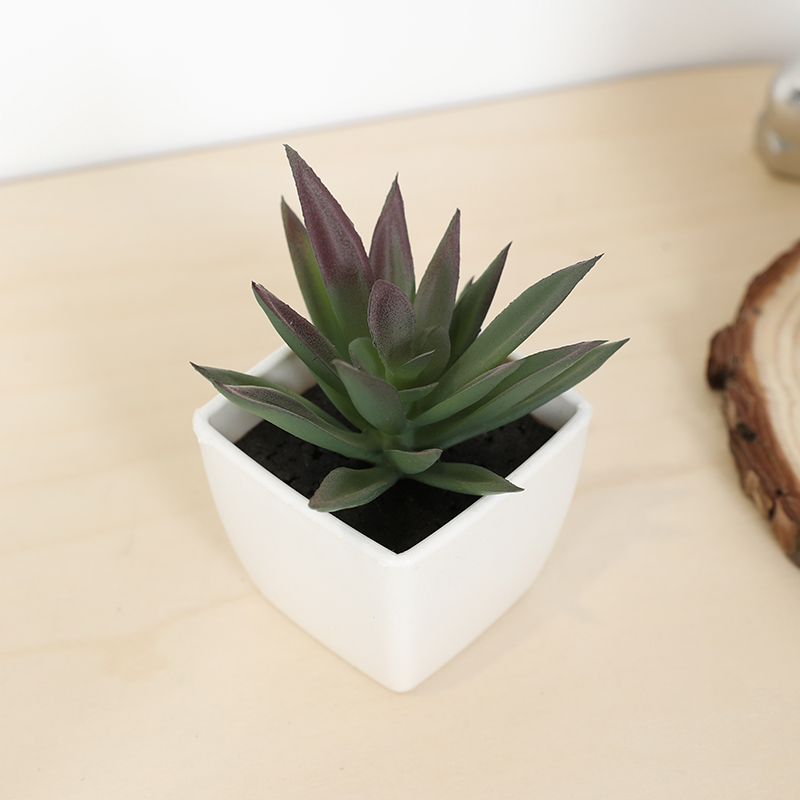 Mini Artificial Succulent Fair - مراجعة Victory Home Decor وسعره
