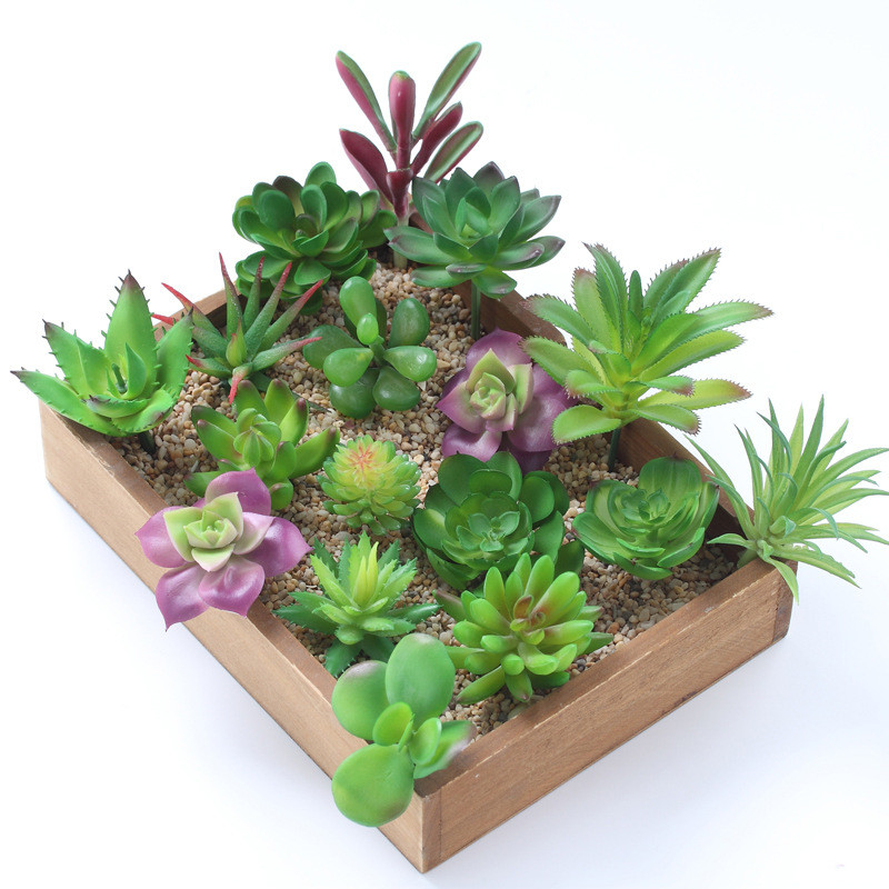 2021 Artificial Succulents Pla - مراجعة Victory Home Decor وسعره