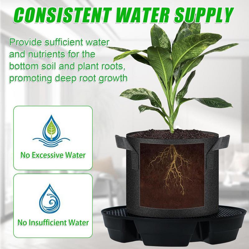Auto Watering For Plants Indoo - مراجعة Succulent Planter Pot وسعره