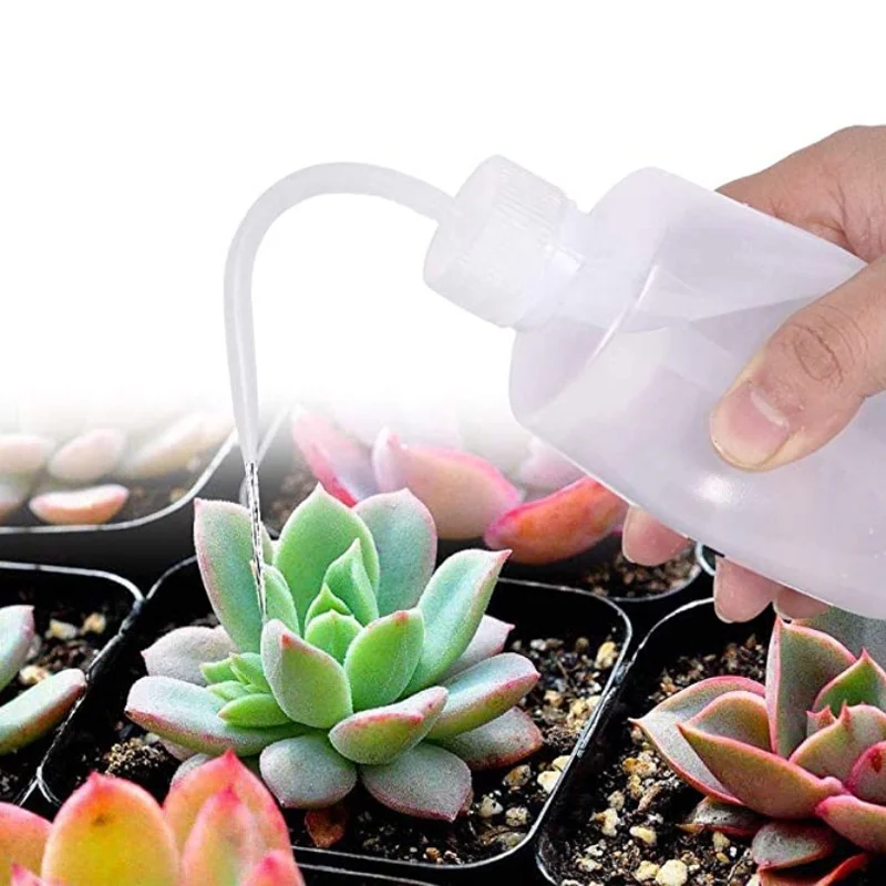 13Pcs Garden Planter Kit DIY S - مراجعة Succulent Planter Pot وسعره
