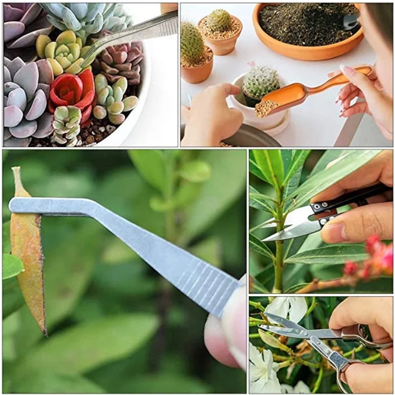 13Pcs Garden Planter Kit DIY S - مراجعة Succulent Planter Pot وسعره