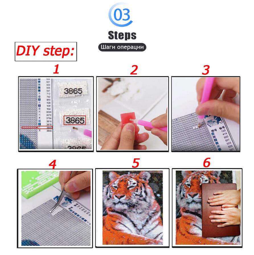 Diamond Painting Kit New Mount - مراجعة Home Decor Range وسعره