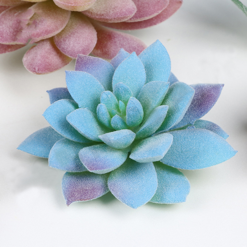 DIY Simulated Succulent Plants - مراجعة Victory Home Decor وسعره