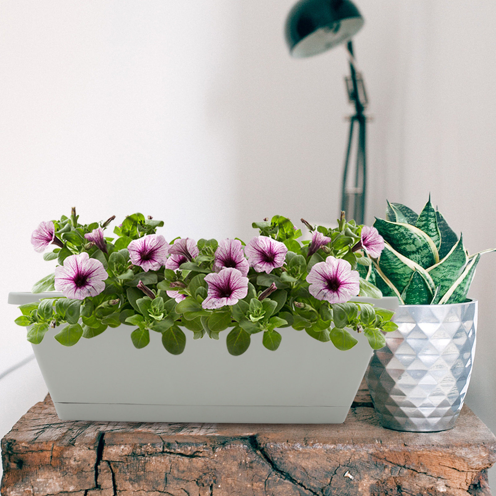 4Sets Window Sill Planter Box  - مراجعة Succulent Planter Pot وسعره