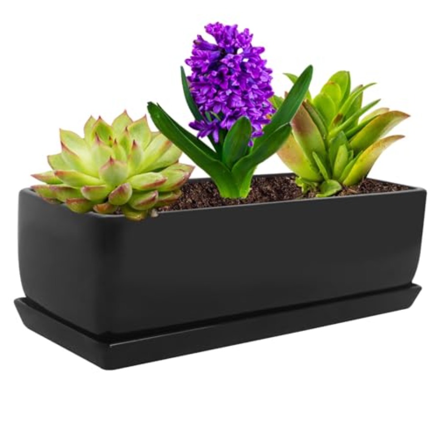 Rectangular Modern Minimalist  - مراجعة Succulent Planter Pot وسعره