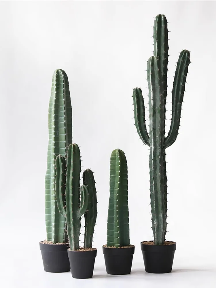 Cactus Artificial Plants Aesth - مراجعة Victory Home Decor وسعره