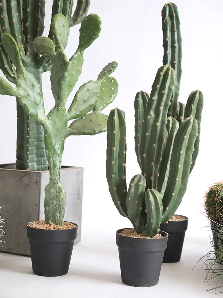 Cactus Artificial Plants Aesth - مراجعة Victory Home Decor وسعره