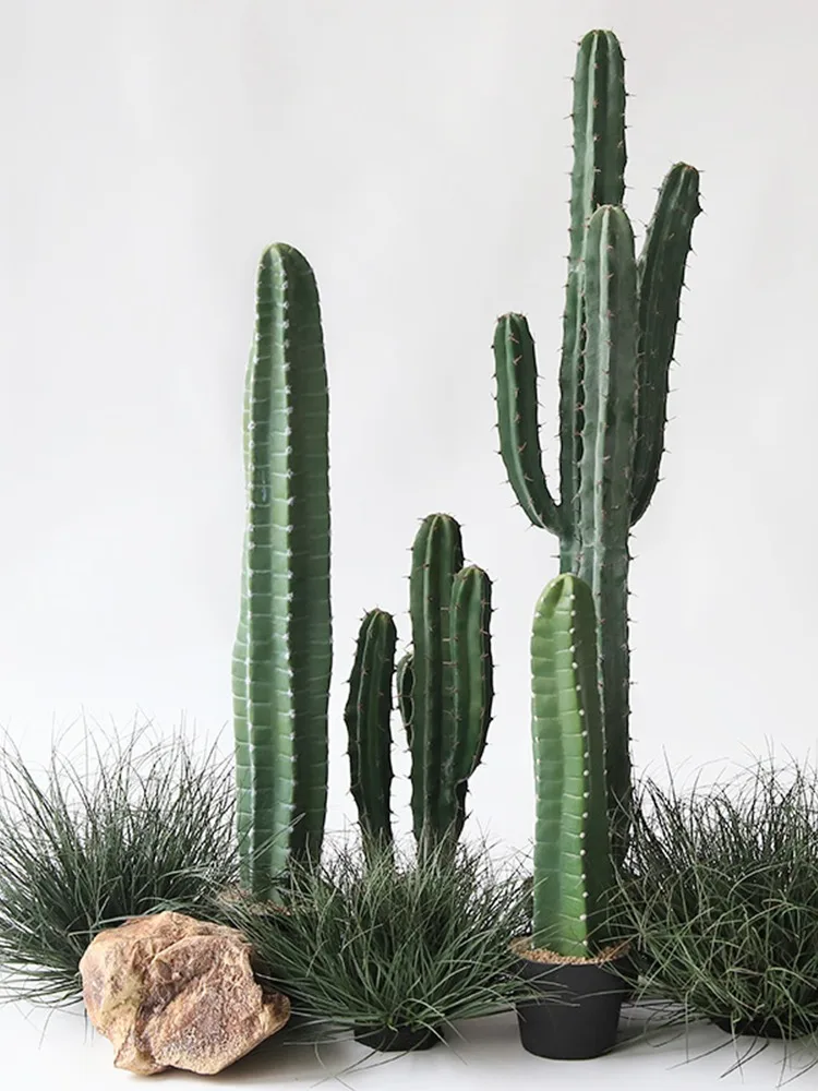 Cactus Artificial Plants Aesth - مراجعة Victory Home Decor وسعره