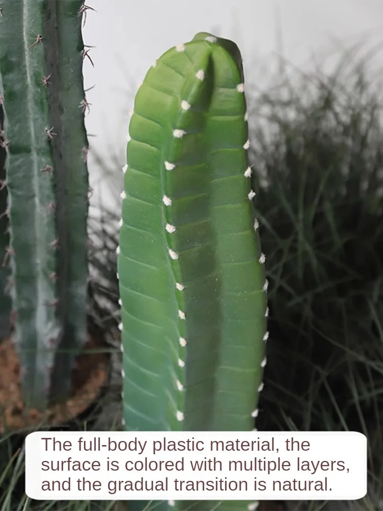 Cactus Artificial Plants Aesth - مراجعة Victory Home Decor وسعره