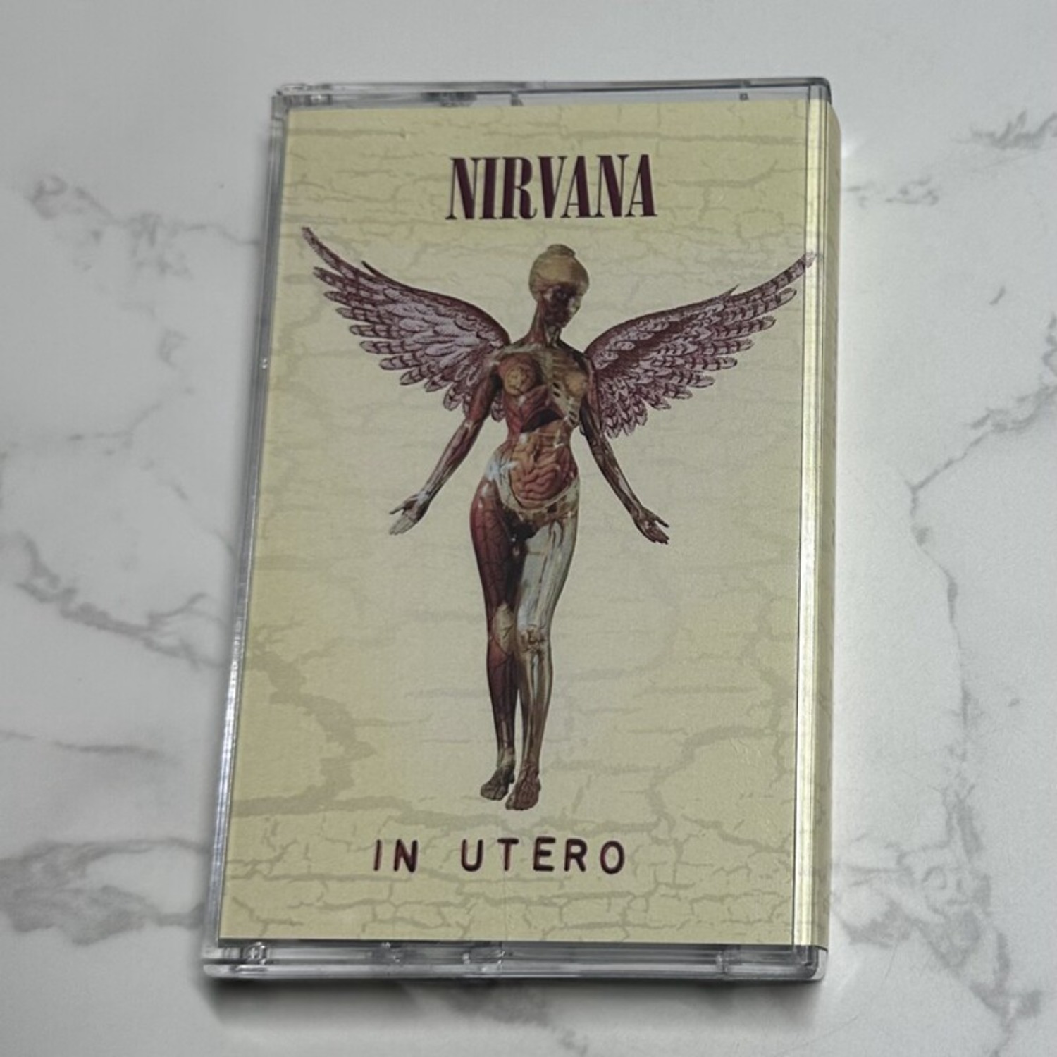 Nirvana Complete Album Collect - مراجعة Home Decor Collection وسعره