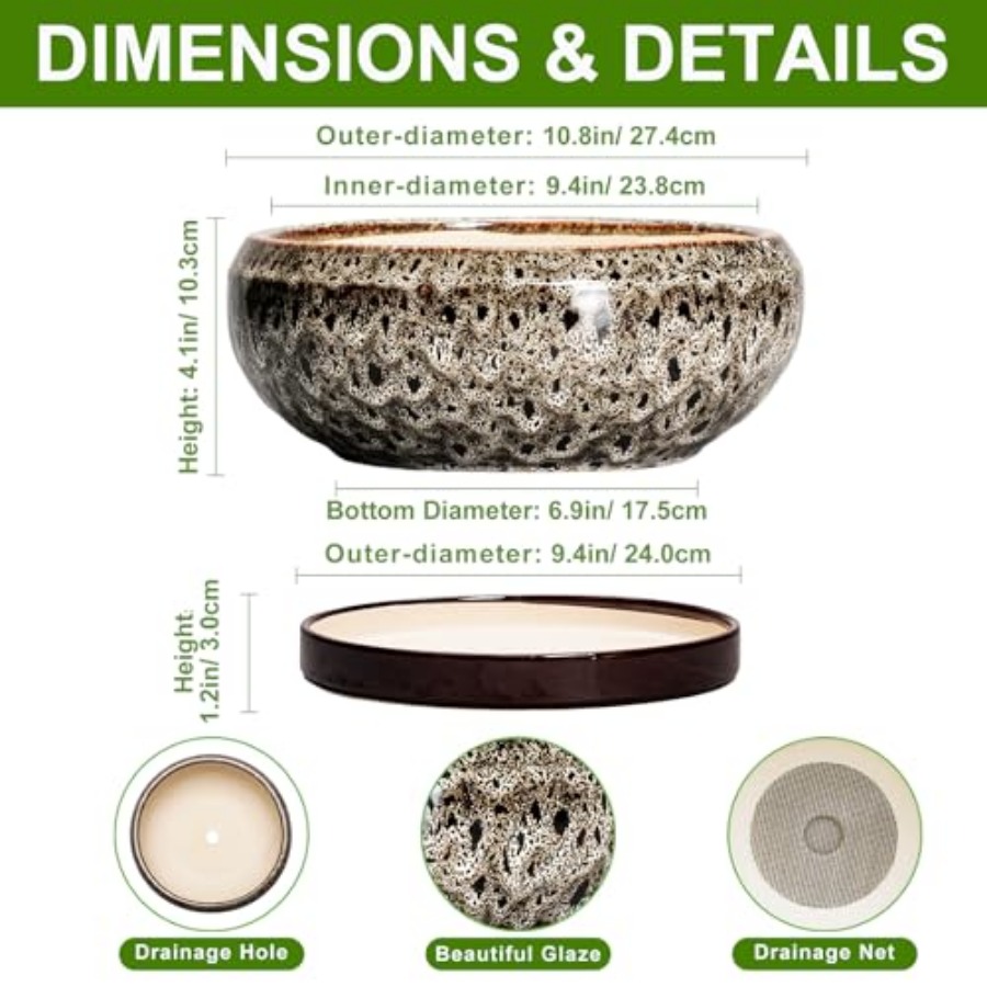 Succulent Pots - Ceramic Bonsa - مراجعة Succulent Planter Pot وسعره