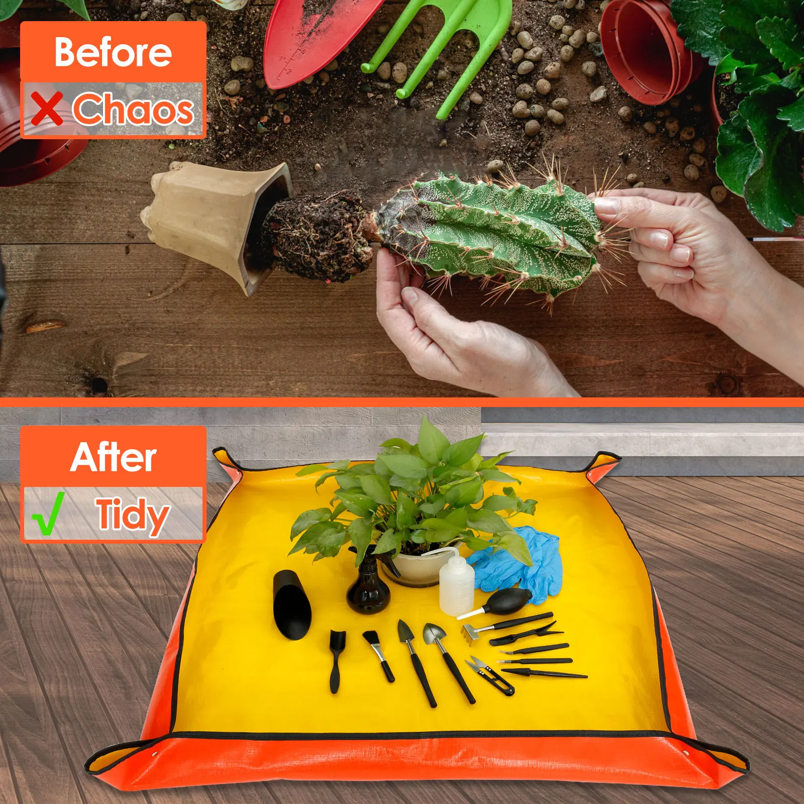 13/16Pcs Garden Succulent Plan - مراجعة Succulent Planter Pot وسعره
