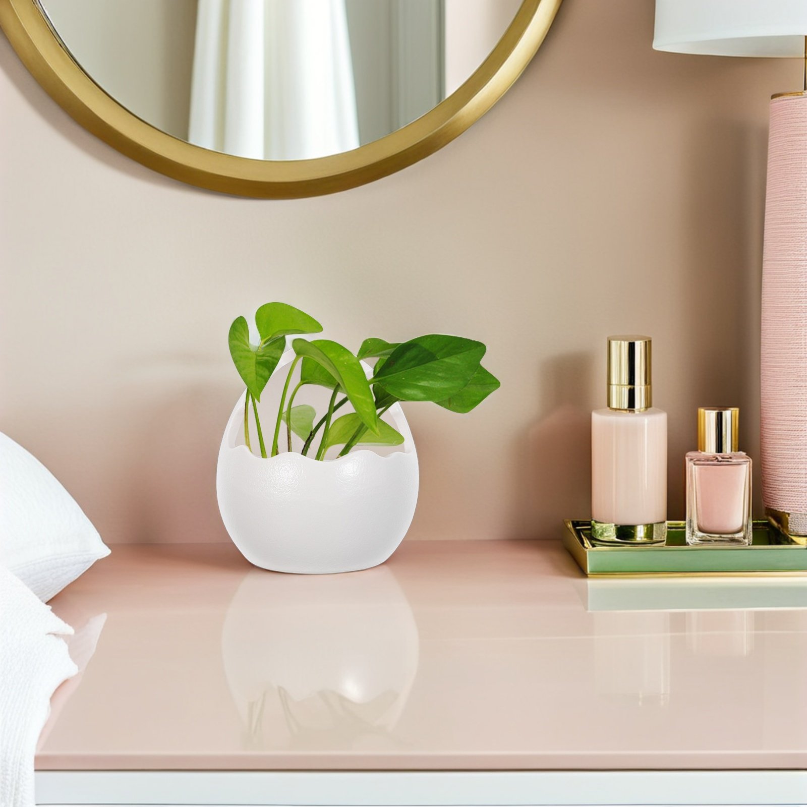 Cute Cracked Egg Ceramic Plant - مراجعة Succulent Planter Pot وسعره