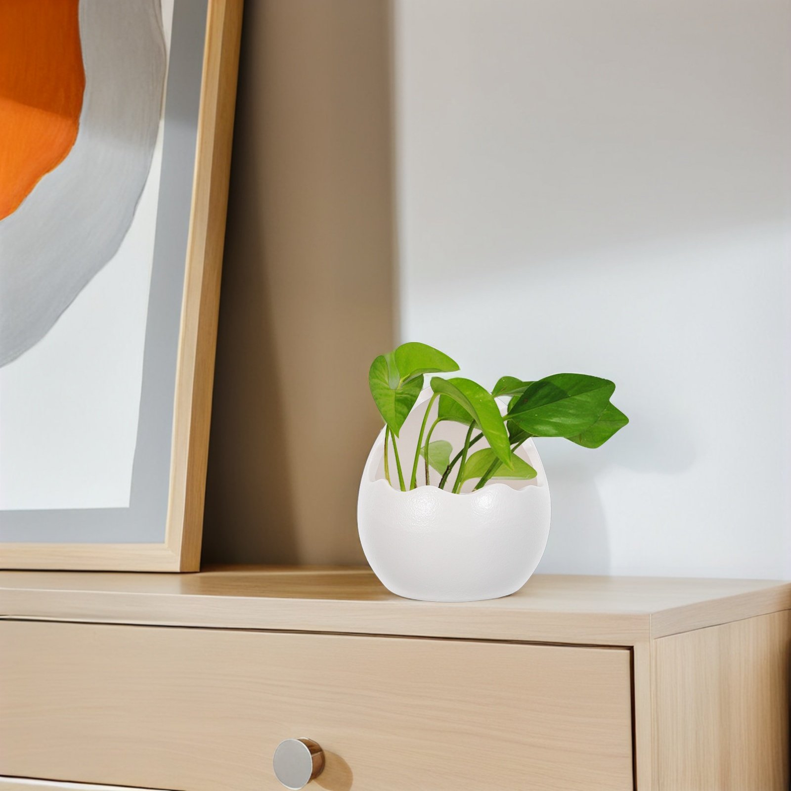 Cute Cracked Egg Ceramic Plant - مراجعة Succulent Planter Pot وسعره