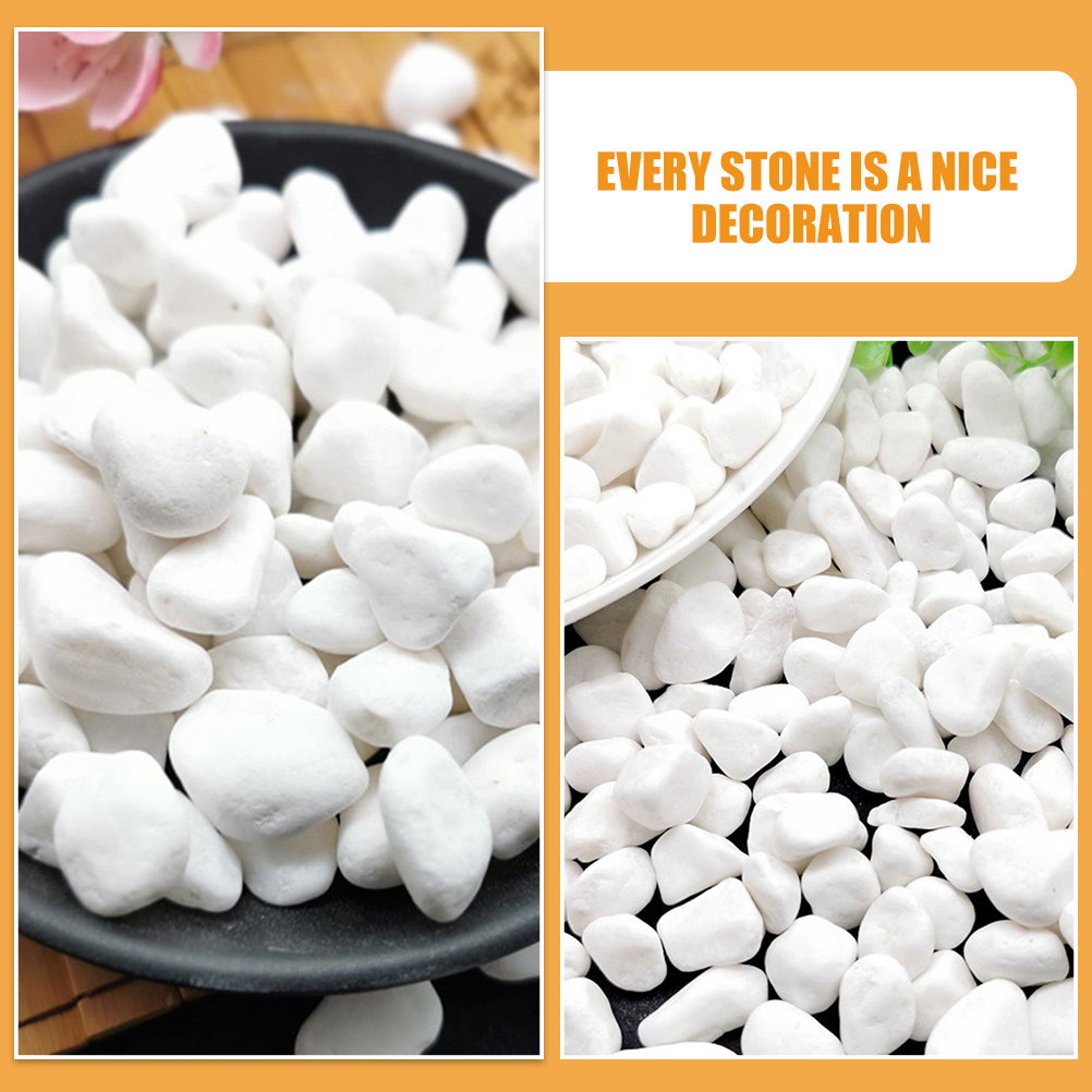 1Set White Decorative Stone Aq - مراجعة Succulent Planter Pot وسعره
