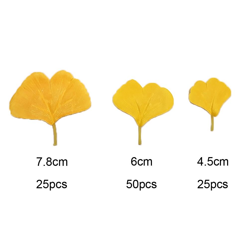 100PCS Artificail Ginkgo Leave - مراجعة Victory Home Decor وسعره