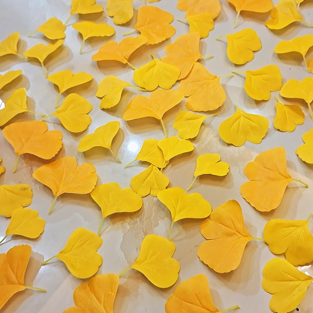 100PCS Artificail Ginkgo Leave - مراجعة Victory Home Decor وسعره