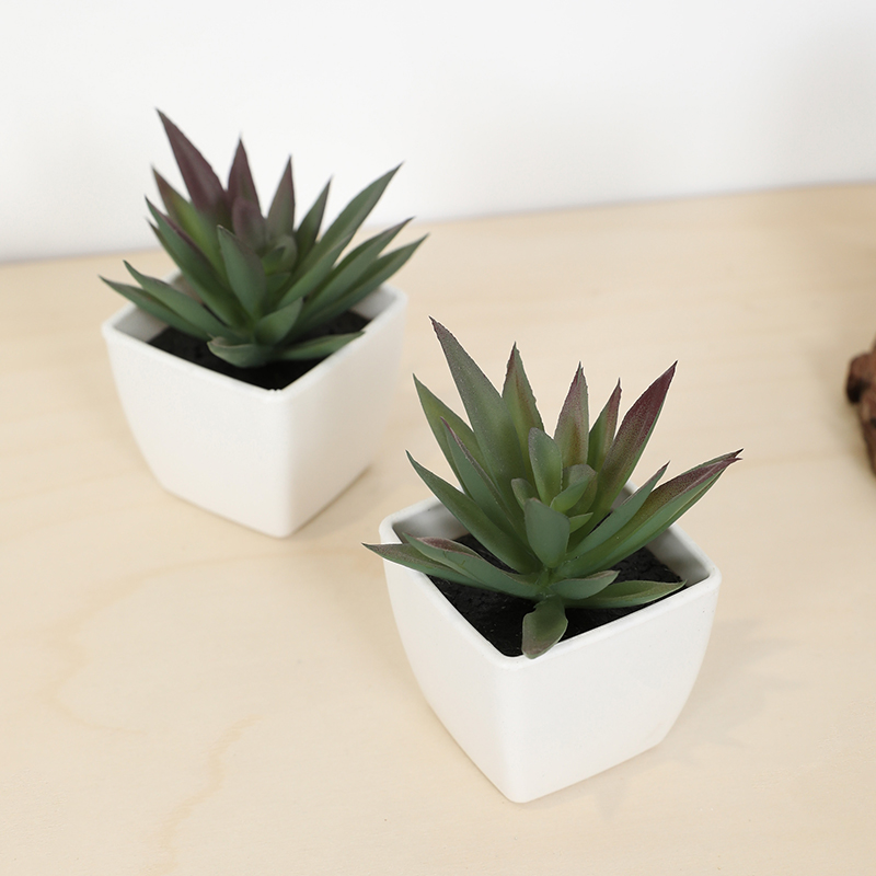 Mini Artificial Succulent Fair - مراجعة Victory Home Decor وسعره