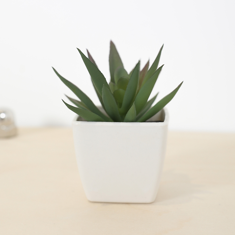 Mini Artificial Succulent Fair - مراجعة Victory Home Decor وسعره